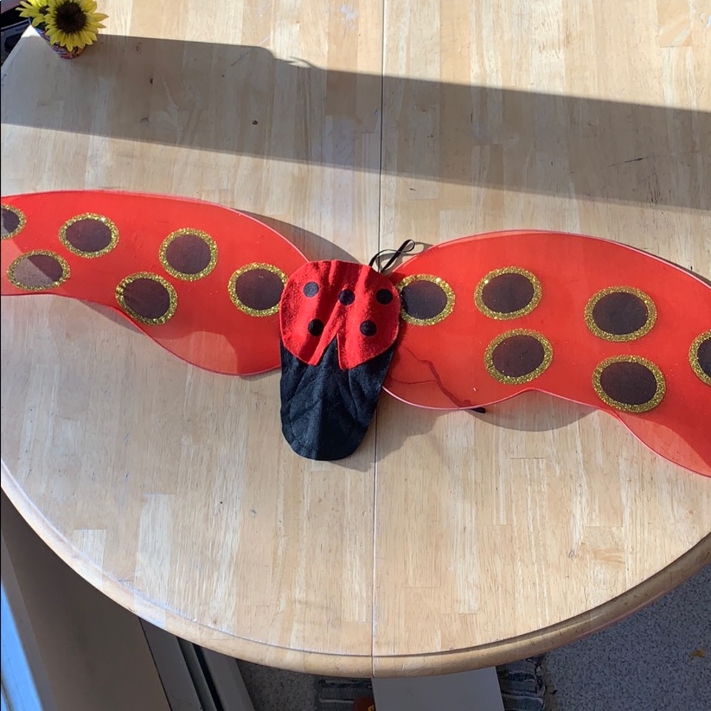 Red and Black Lady Bug Wings.